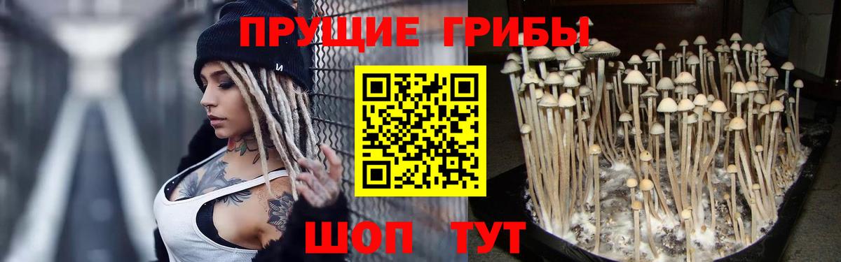 Зеленодольск  Галлюциногенные грибы прущие грибы  Вход с VPN 